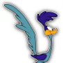 road runners profile