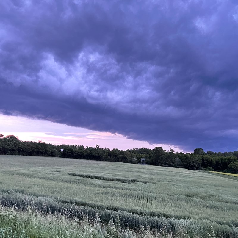 No so much but Daily logo