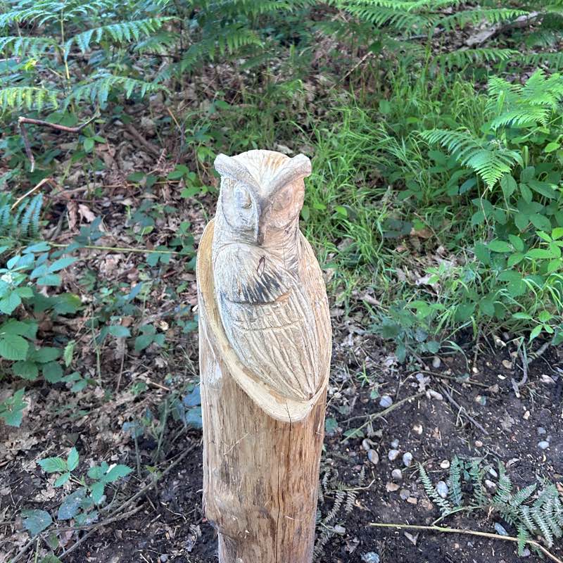 The Glennie Stompers logo