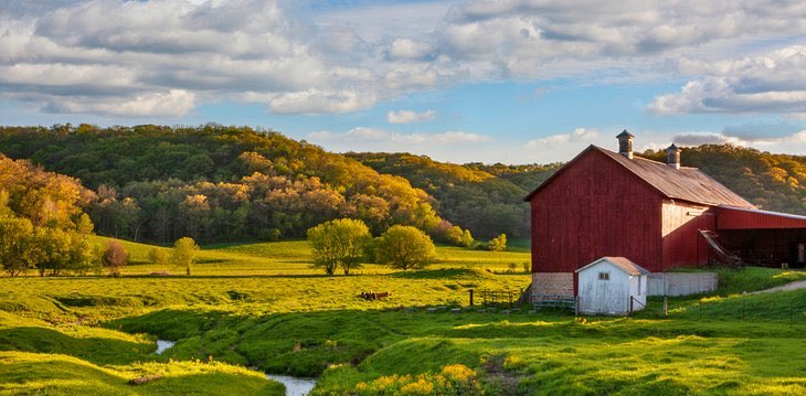 🧀Wisconsinites banner