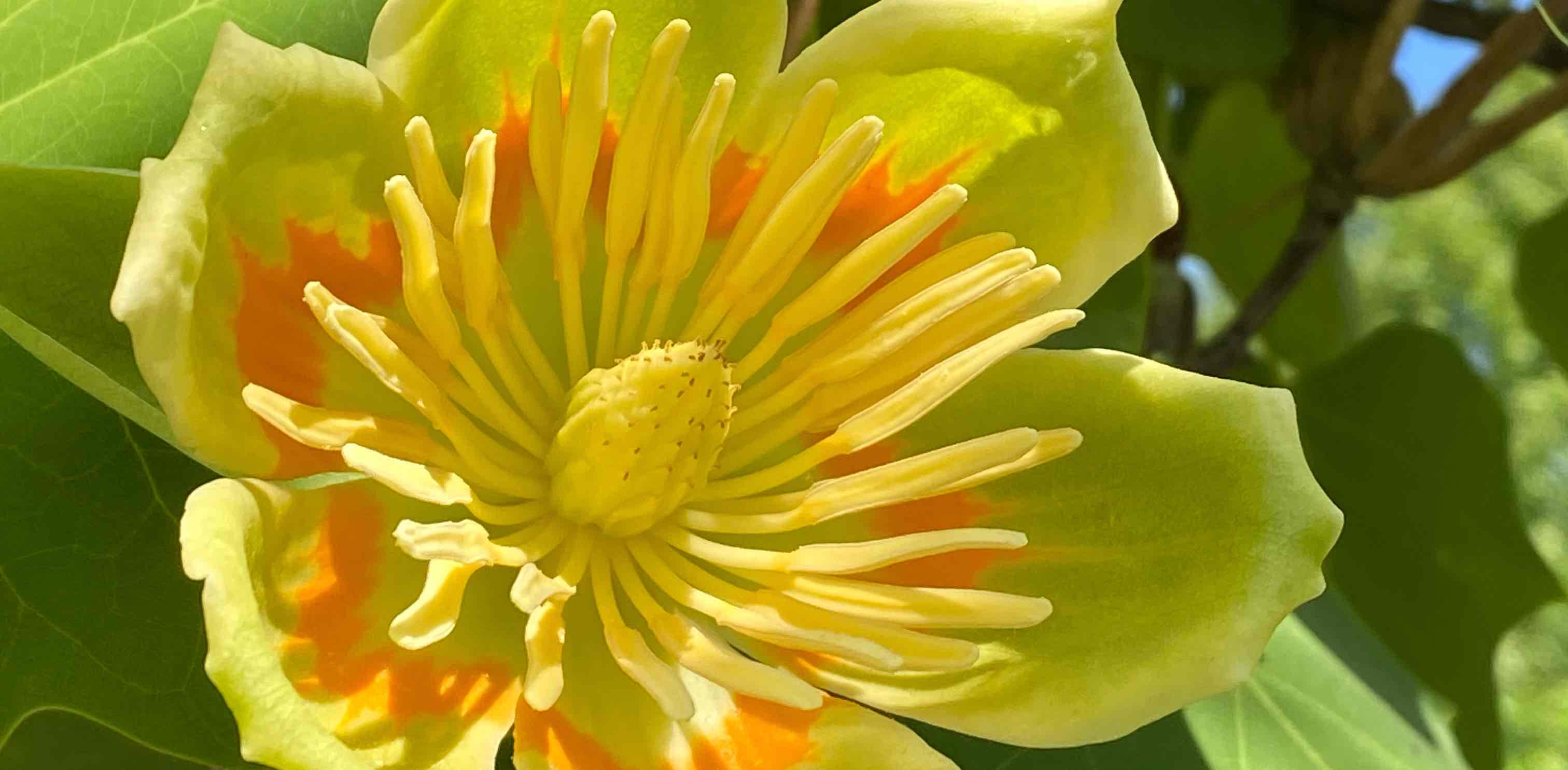 Мыловары и не только banner