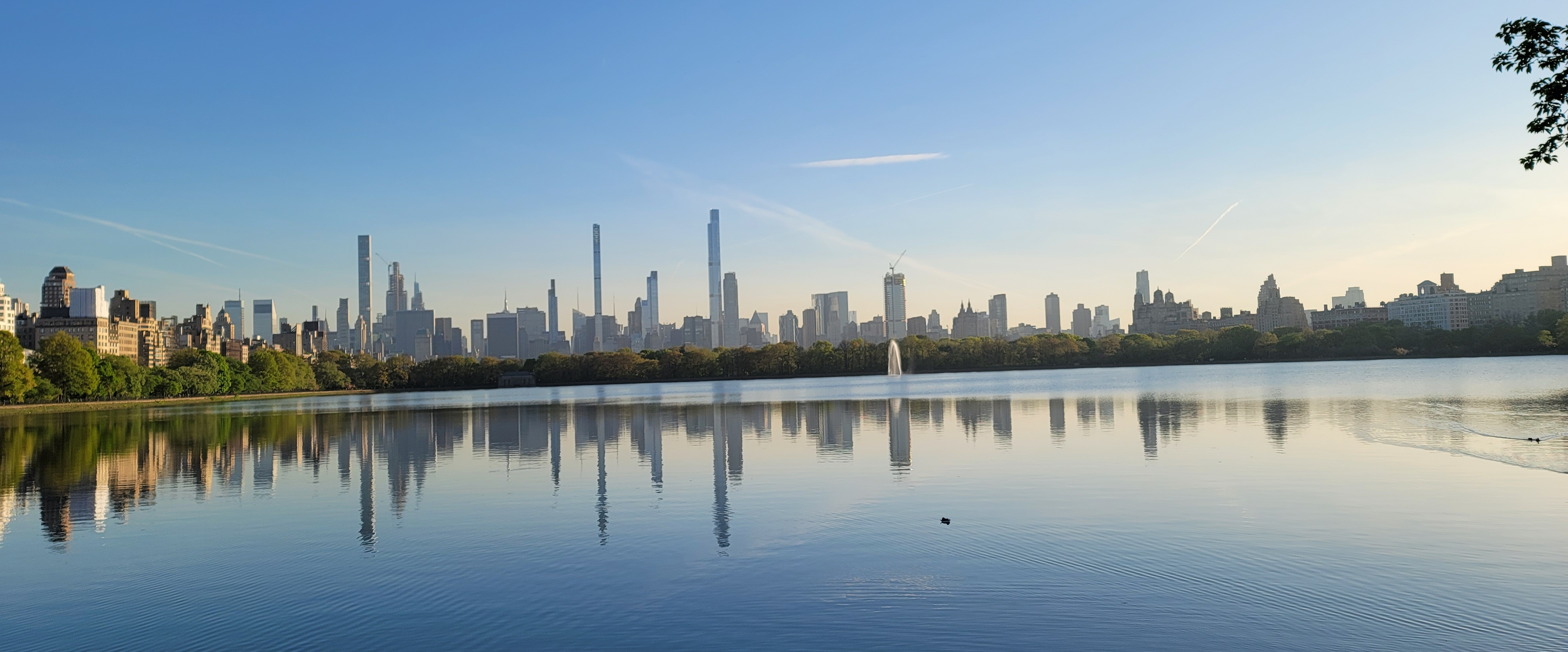 Central Park joggers banner