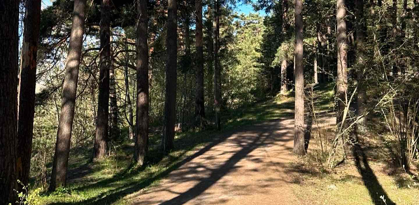 Steps together Tallinn banner