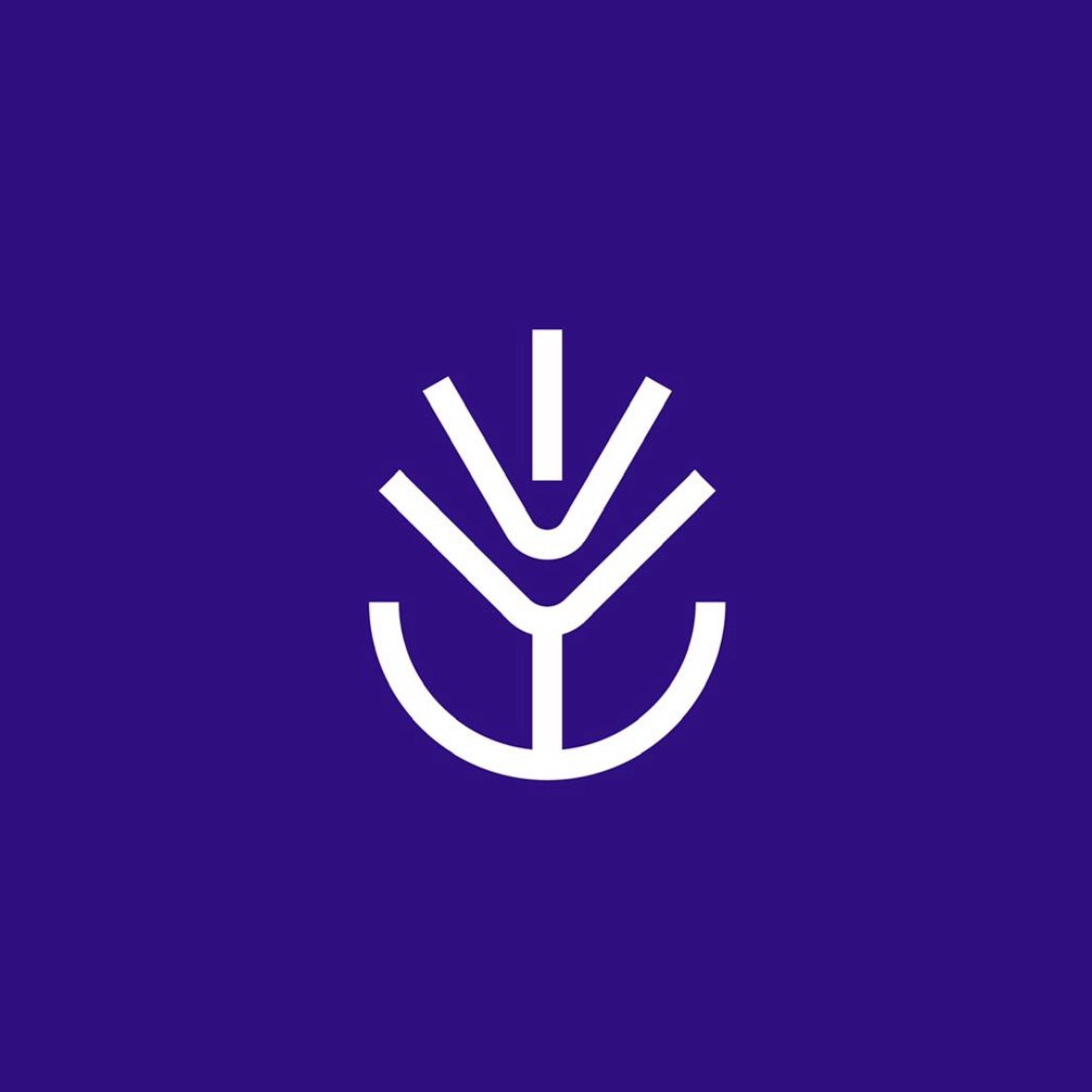 Endesha Steps Challenge 🧼 logo