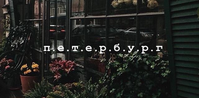 Piter_Life banner