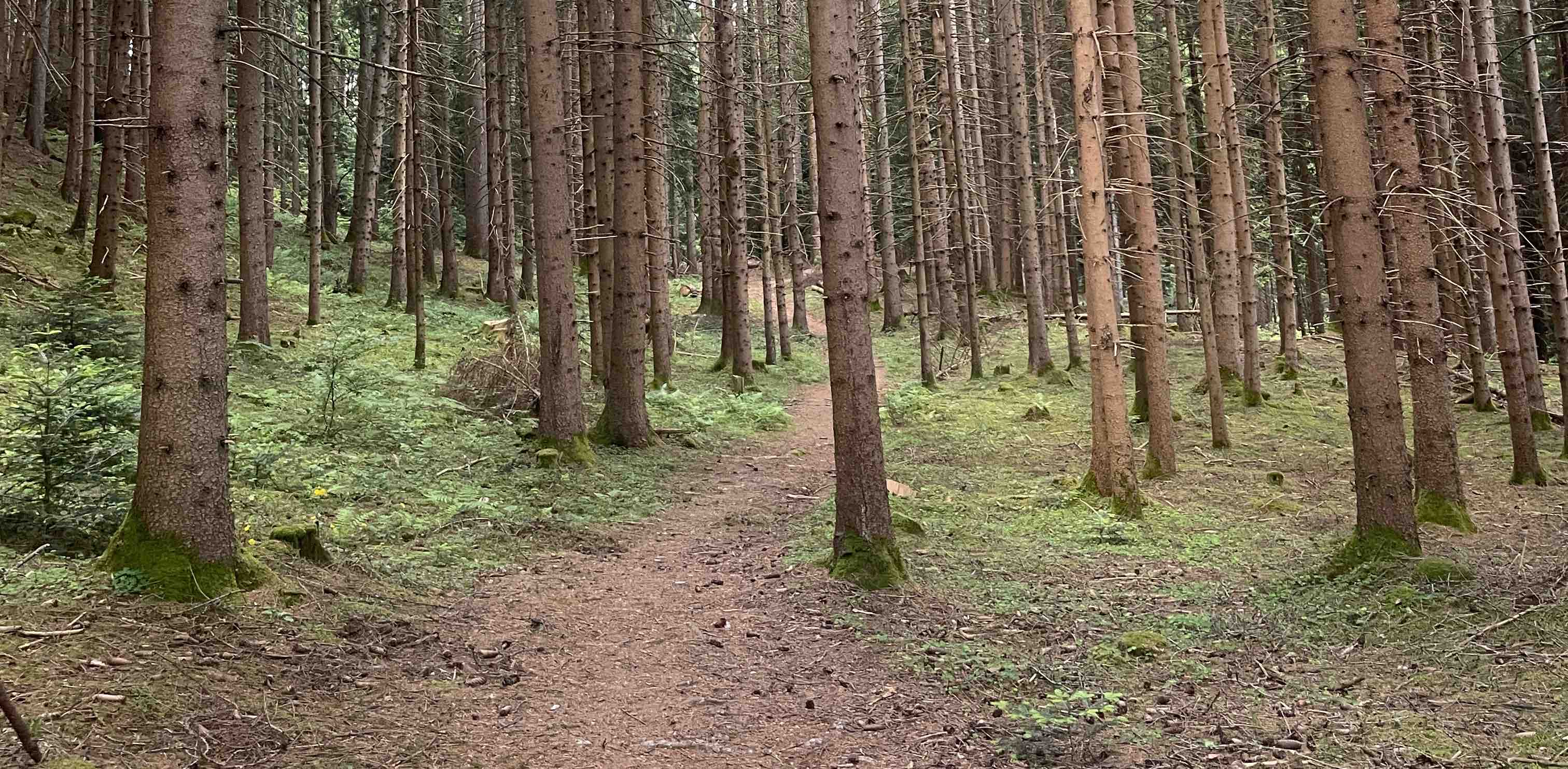 10 Tages Challenge banner