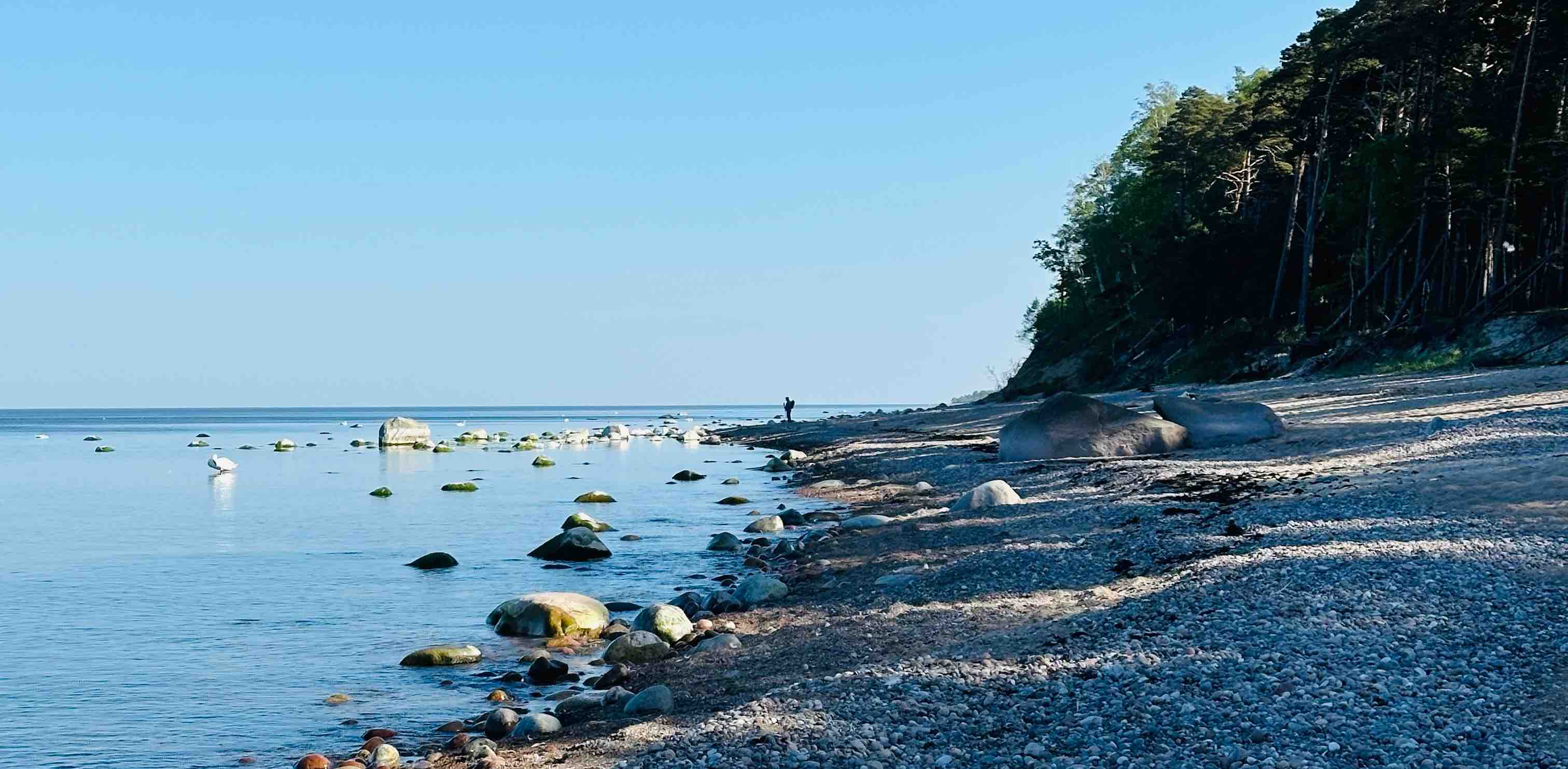 Pasivaikštom banner