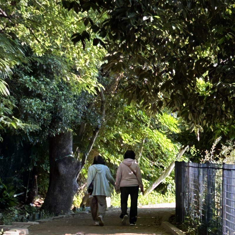 ノンビリお散歩〜🍀 logo