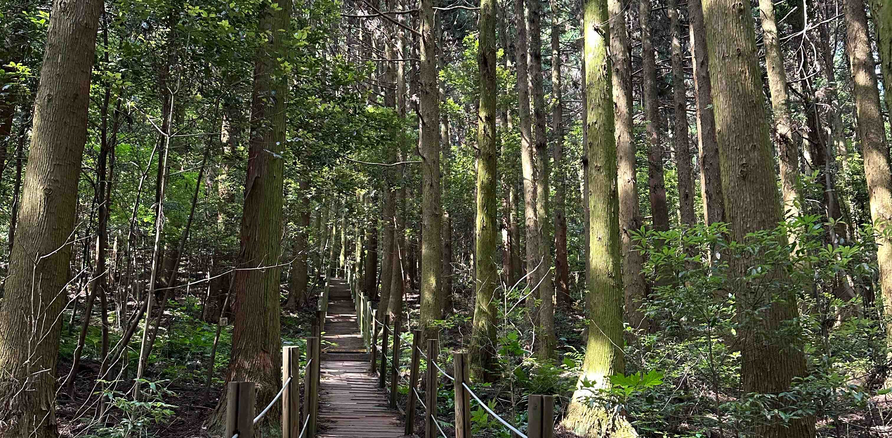 Challenge myself banner