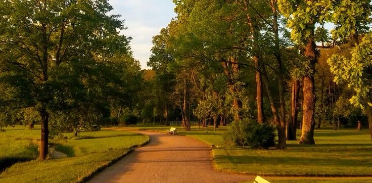 Appreciation walks banner