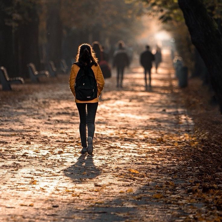 Appreciation walks logo