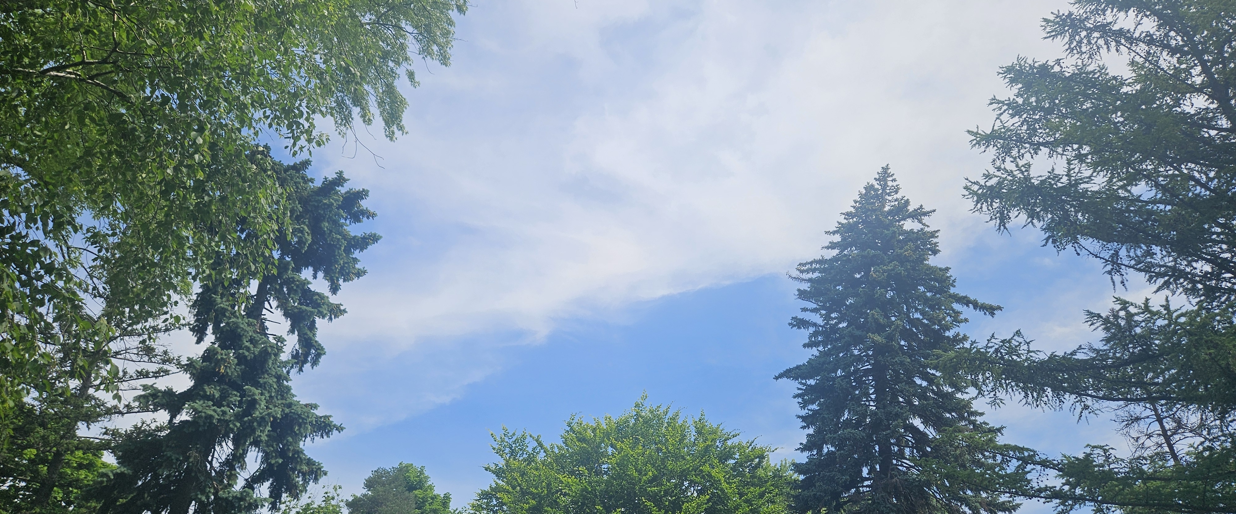 🍃HEALTHY WALKS🍃 banner