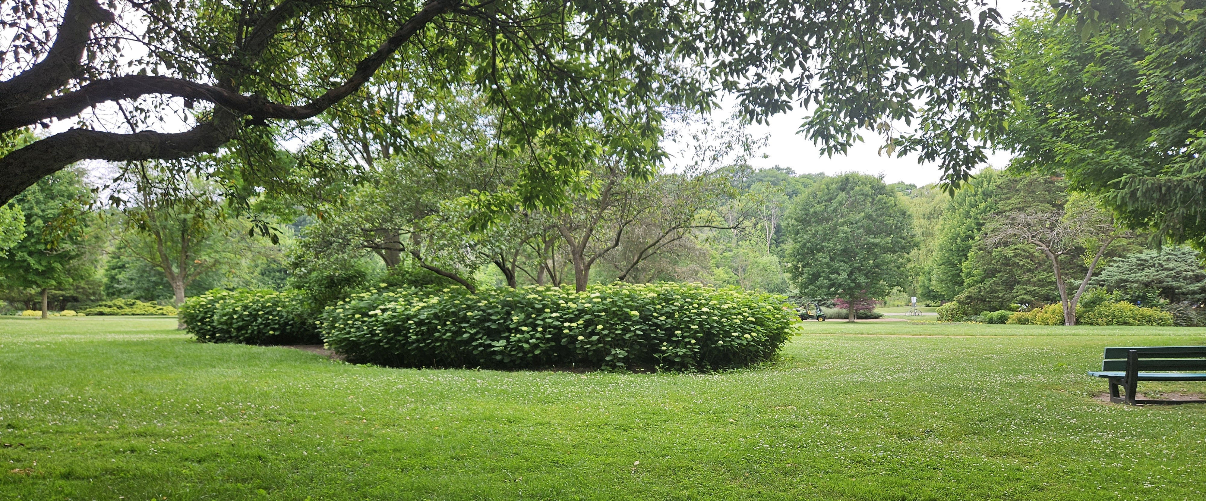 ☕️HAPPY TEAM☕️ banner