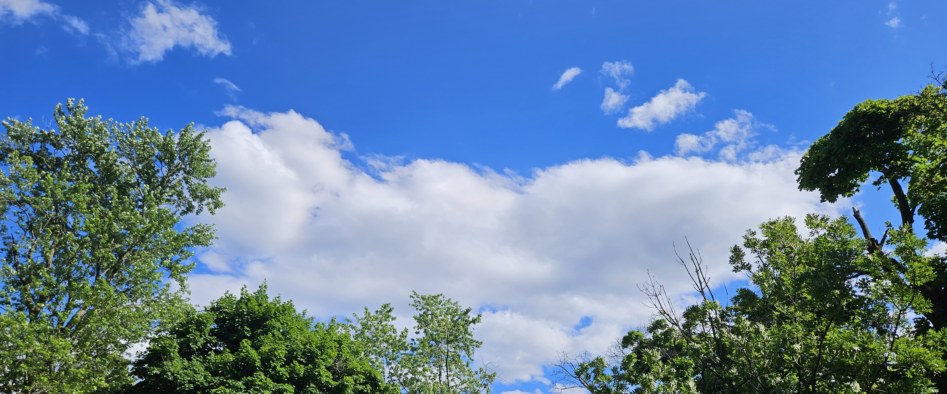 🚶♀️ WALKING ONLY 🚶♂️ banner