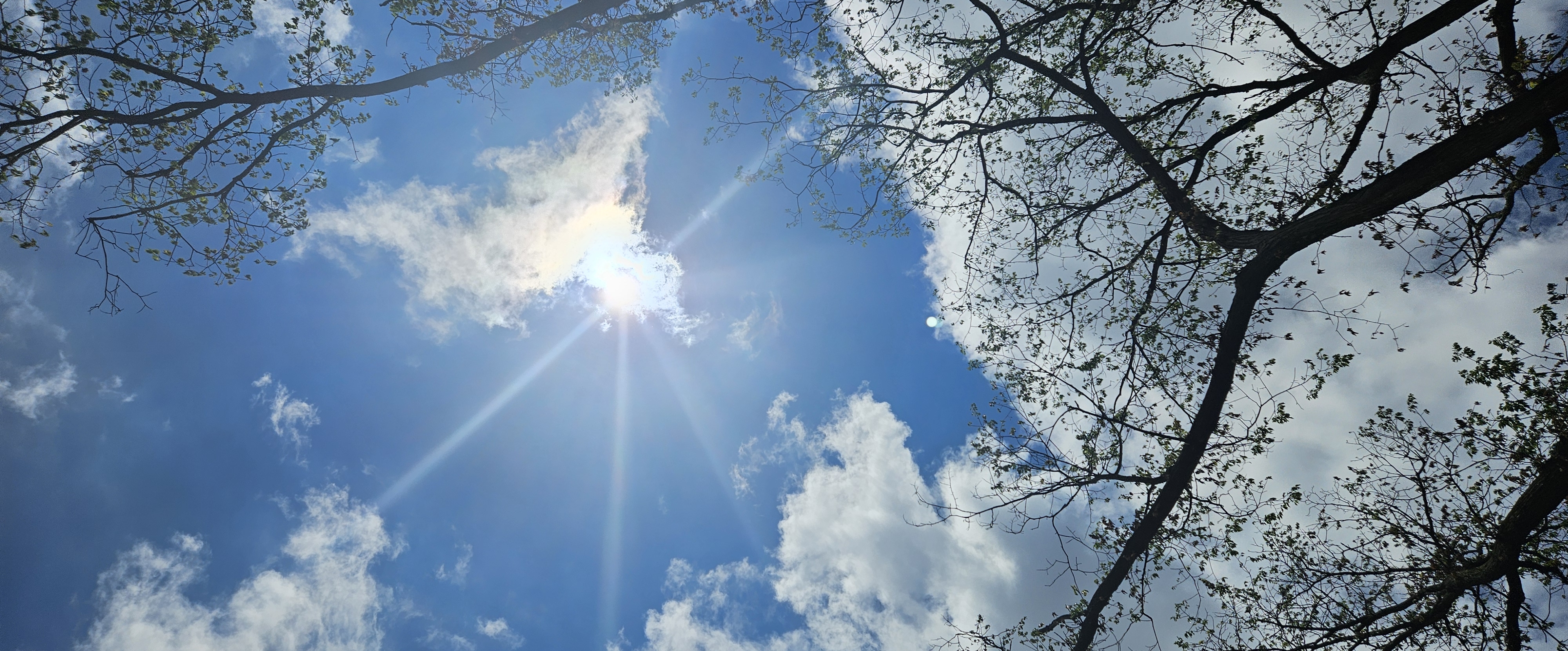 ☀️ SUMMER WALKS☀️ banner