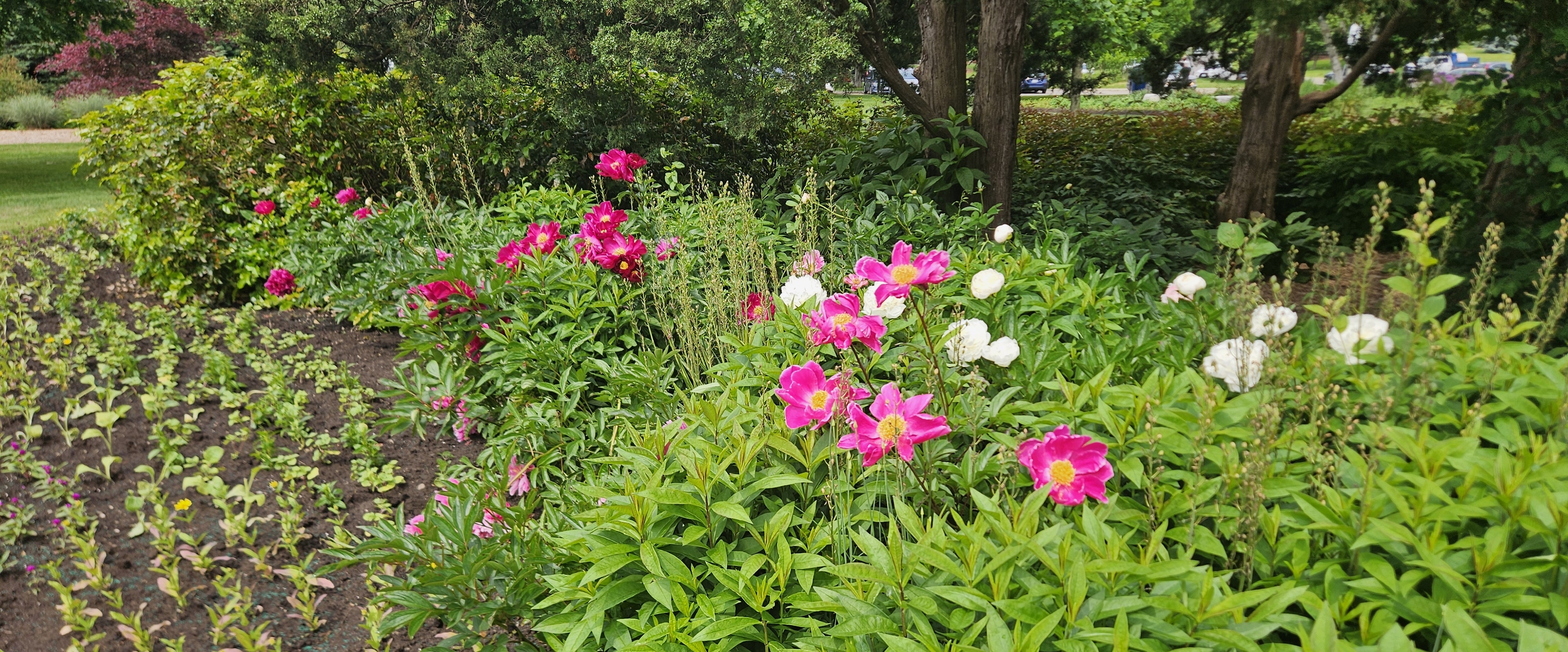 🚶♀️KEEP WALKING🚶♂️ banner