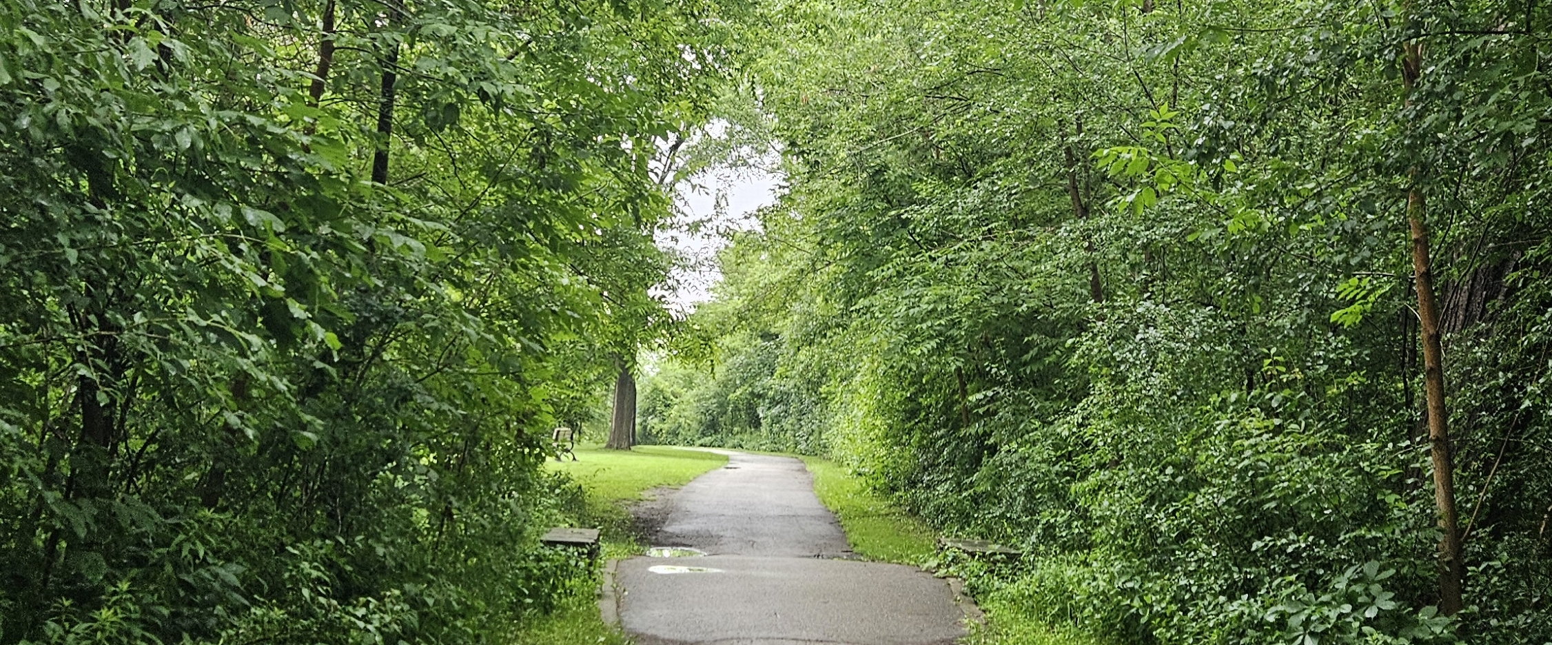 👌PERFECT SCORE👌 banner