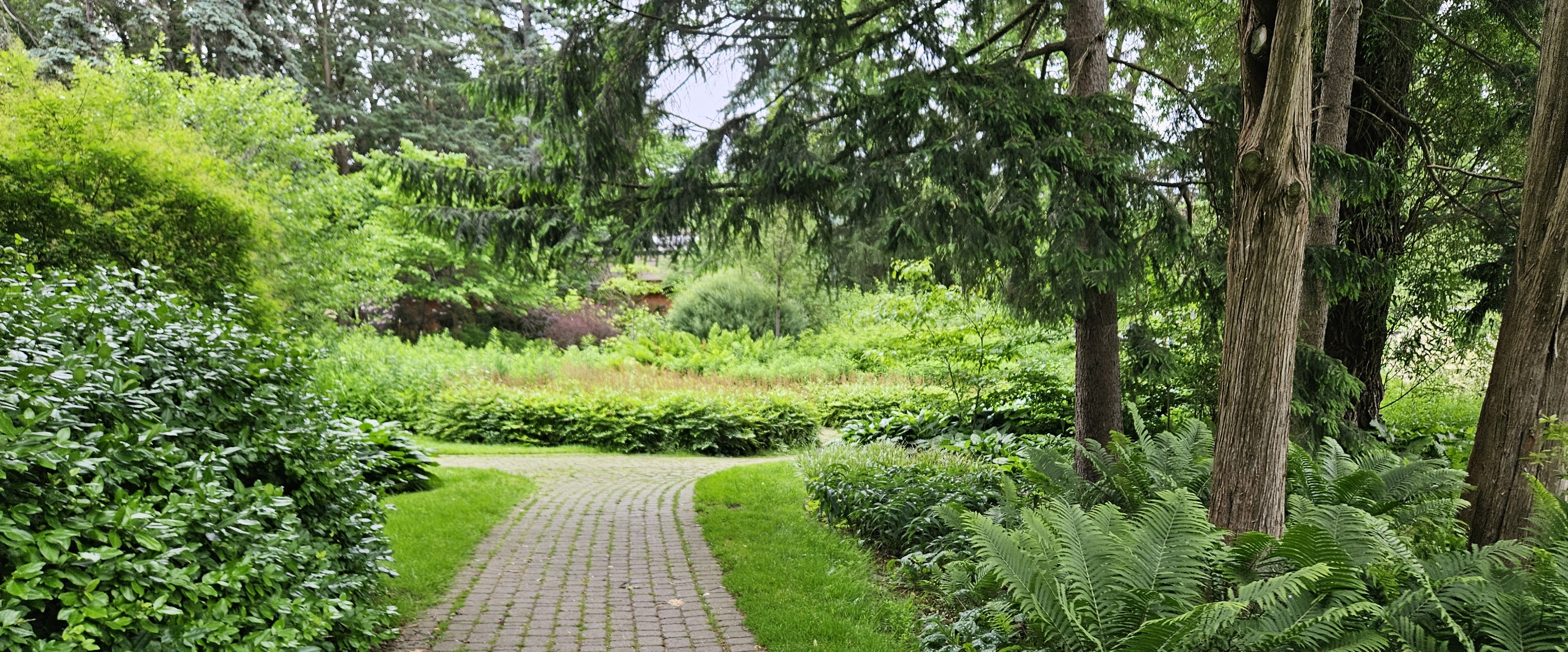 💖🍃STEPS CHALLENGES🍃💖 banner