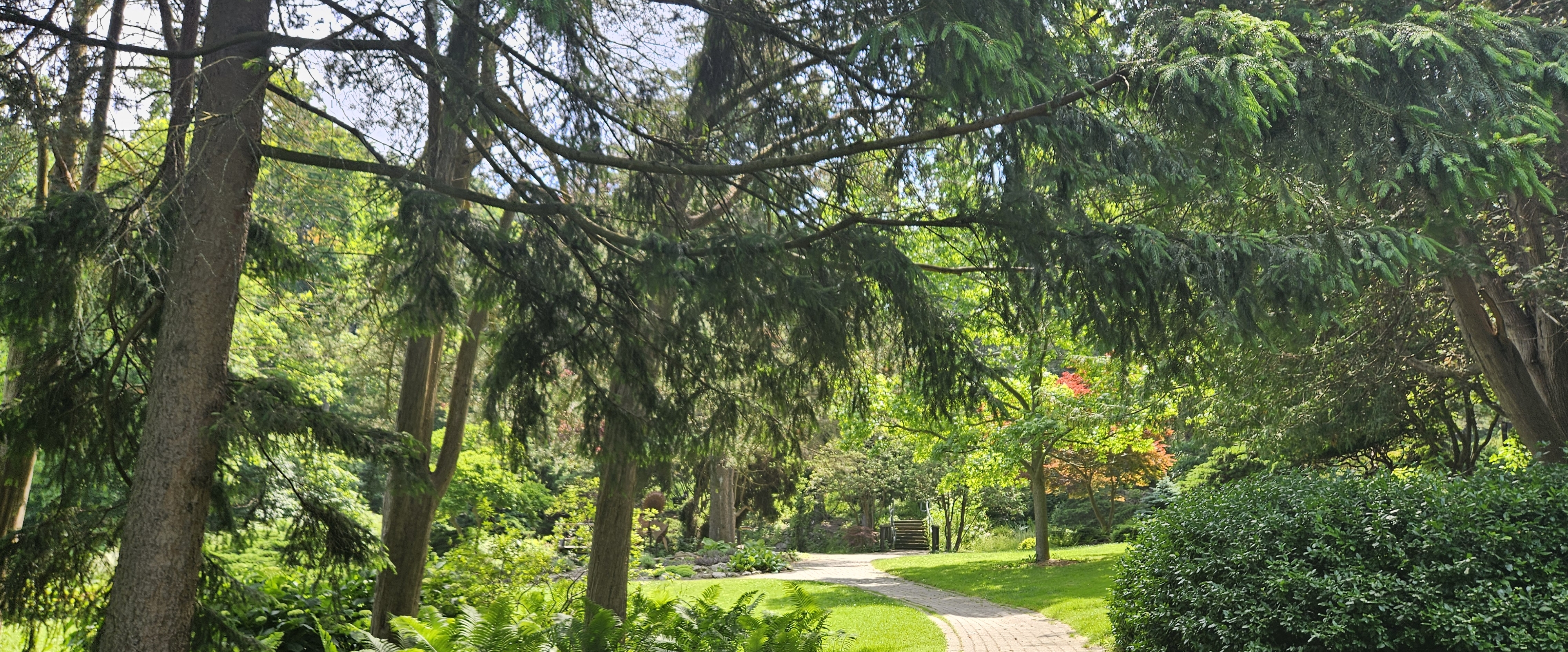 💕SAN ANTONIO PACERS💕 banner