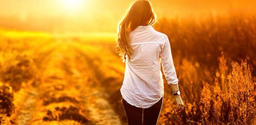 Walking Wonders banner