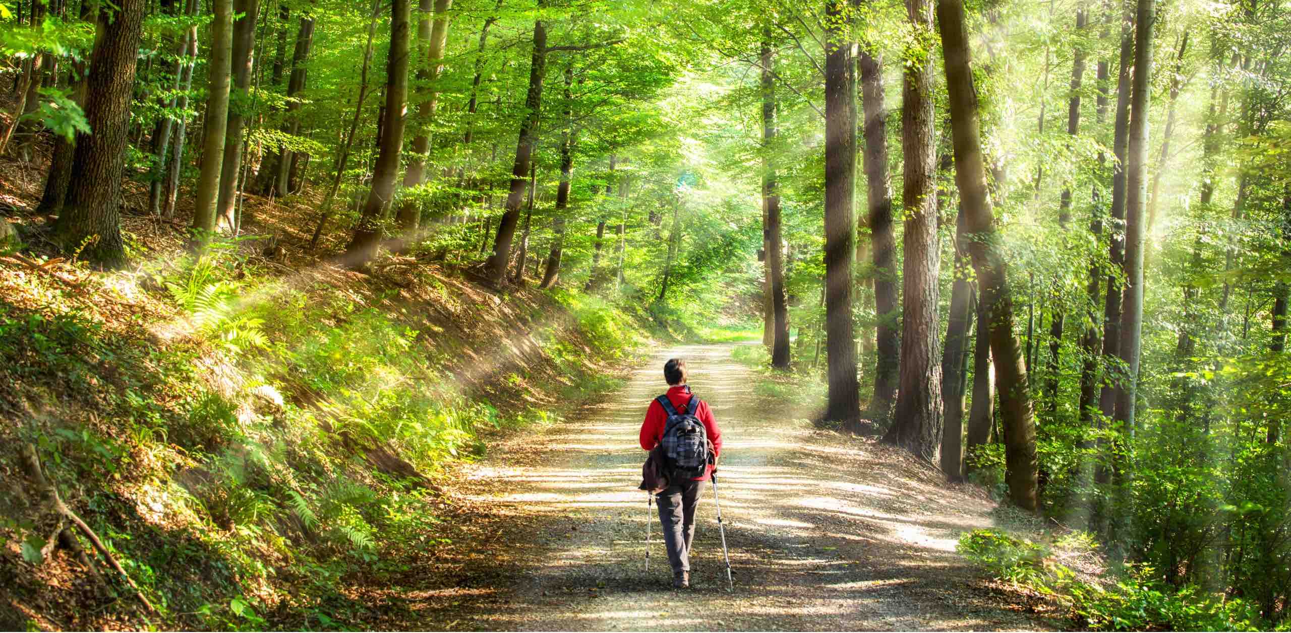 🇪🇺EUROPE WALKS🇪🇺 banner