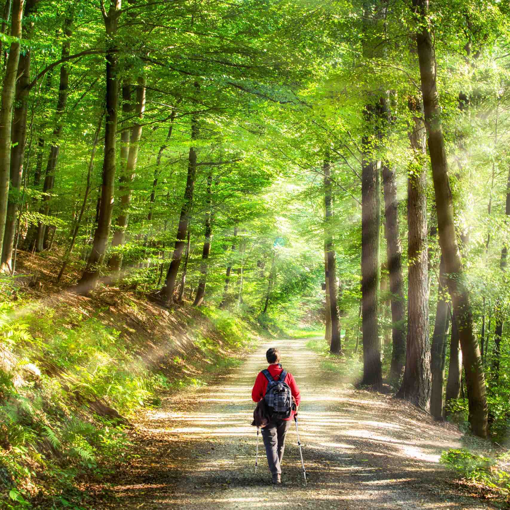 🇪🇺EUROPE WALKS🇪🇺 logo