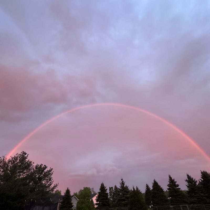 Almost Heaven-WEST VIRGINIA logo