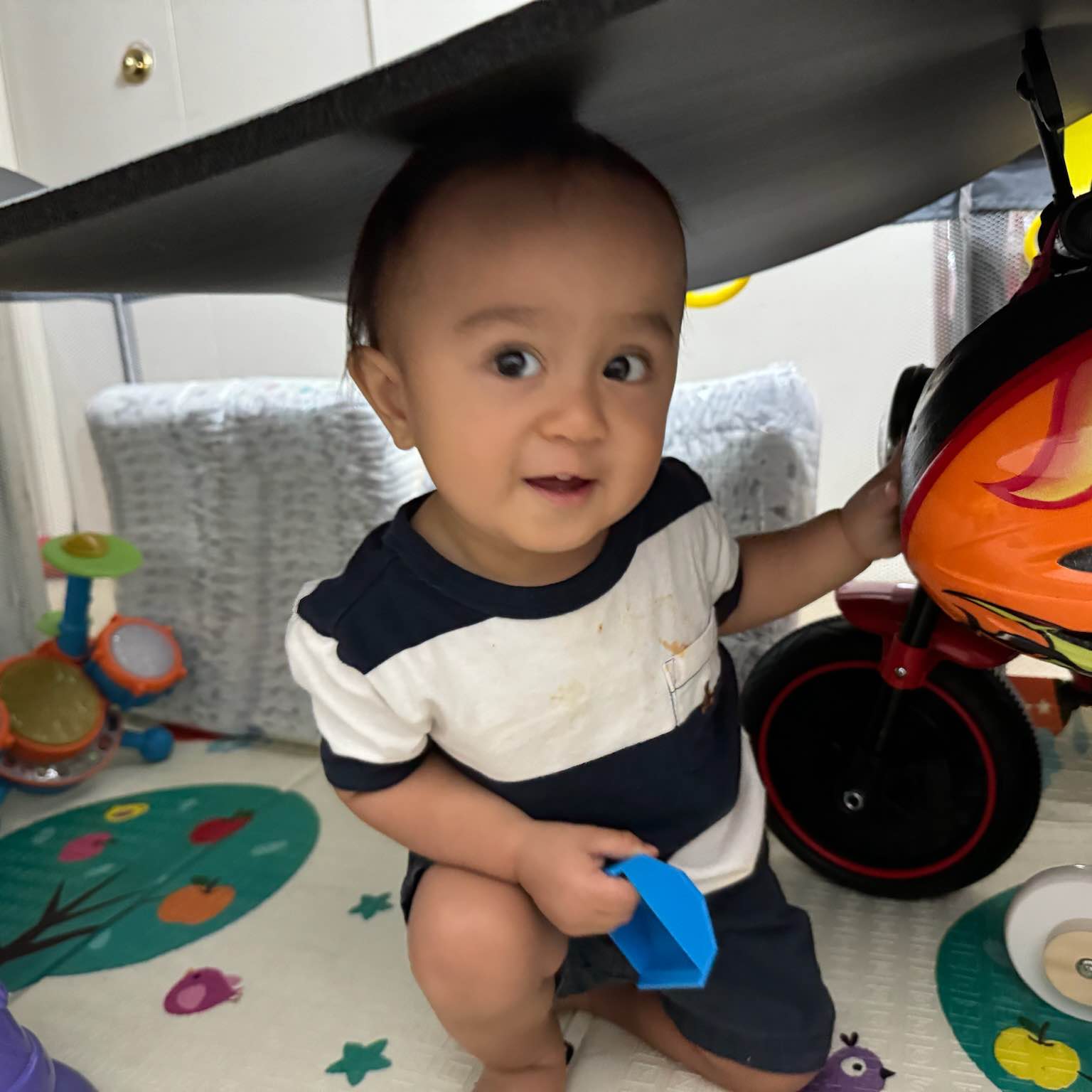 3 ladies and a gentleman group logo