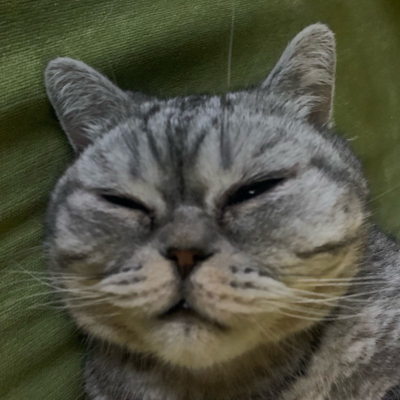 USA - Ukraine ❤️ logo