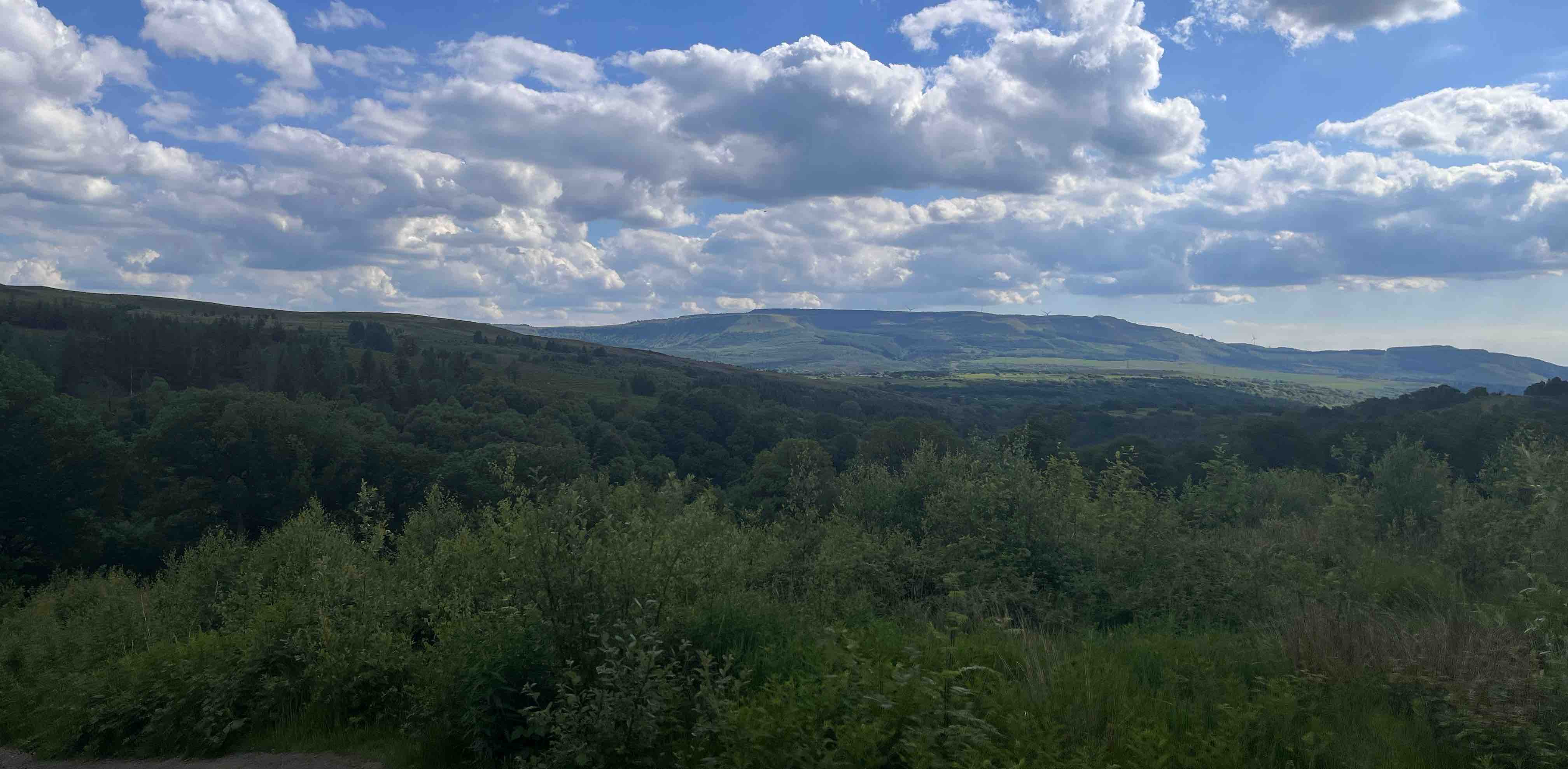 Walking/Hiking Club banner