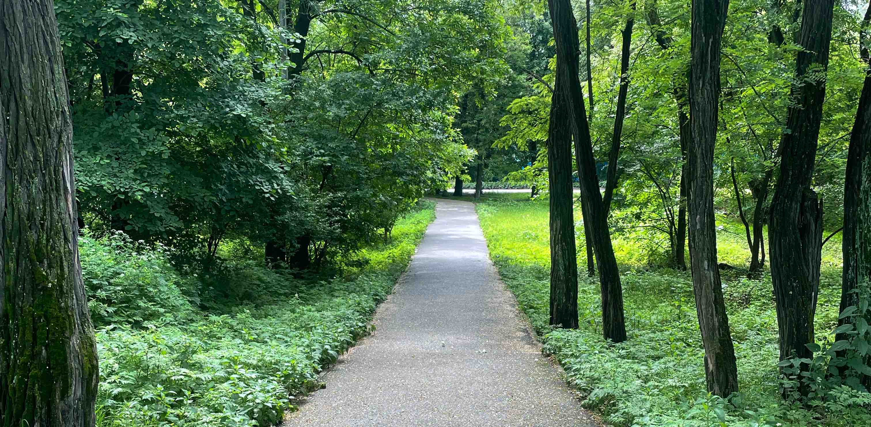 🌎ОСЕТИЯ ПЕШКОМ🌎 banner