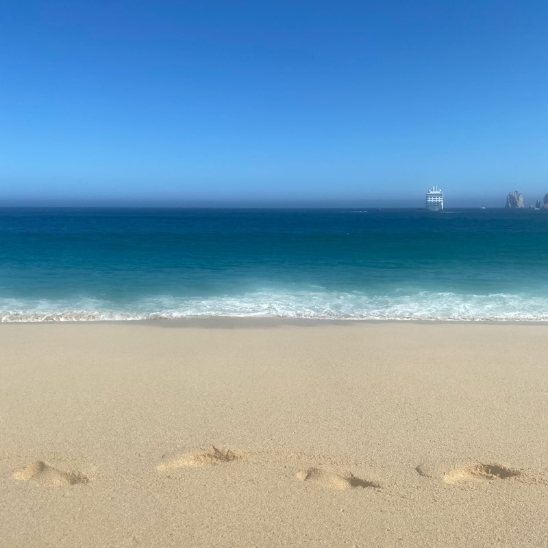 Walking Back to Cabo logo