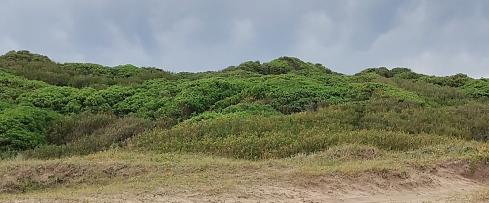 A POR LOS 10000 ✨ banner