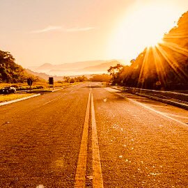 WALK and STAY HAPPY & HEALTHY logo