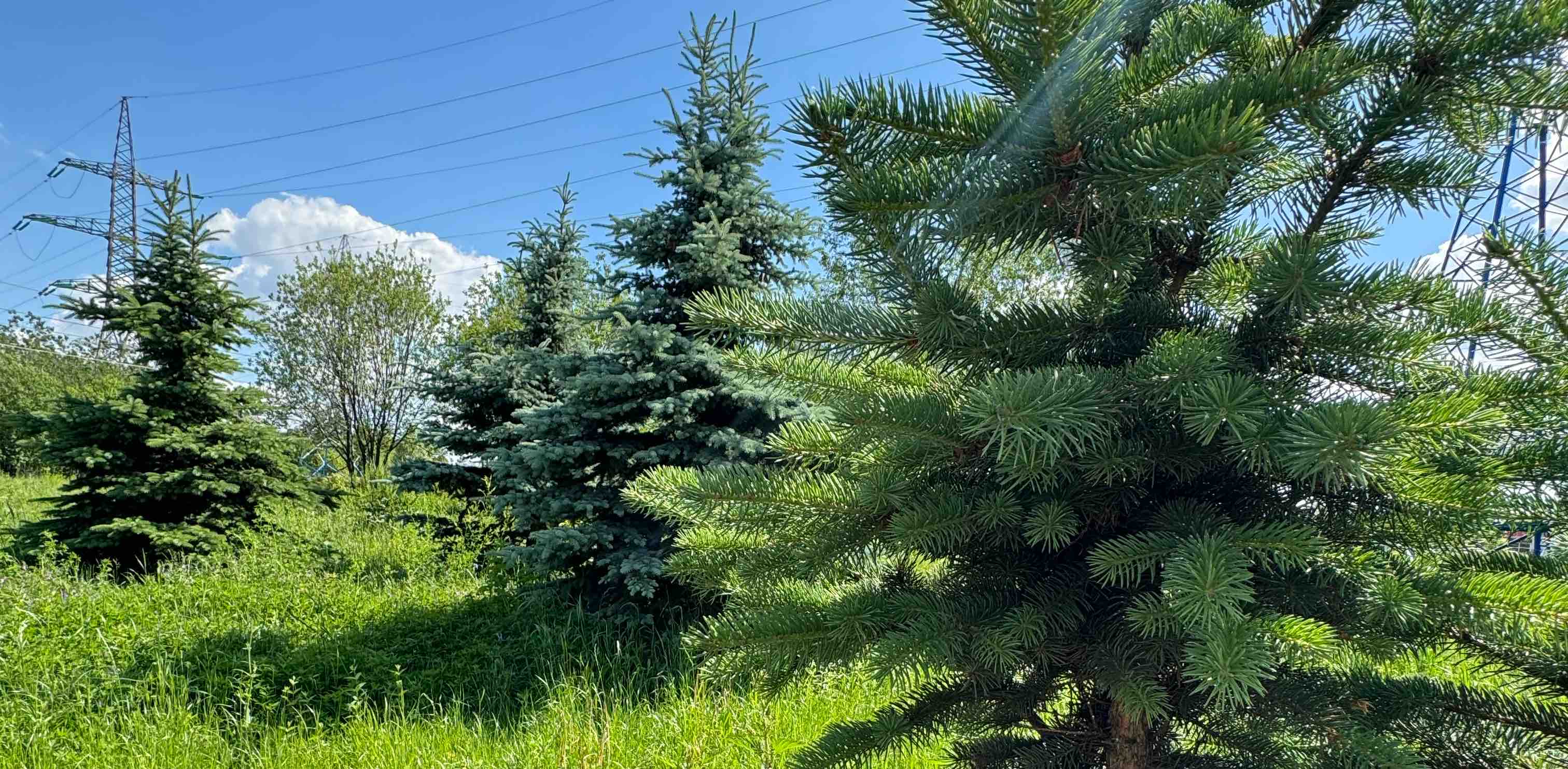 я за ЖИЗНЬ banner