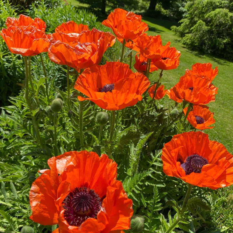 FITNESS WANNABE'S logo