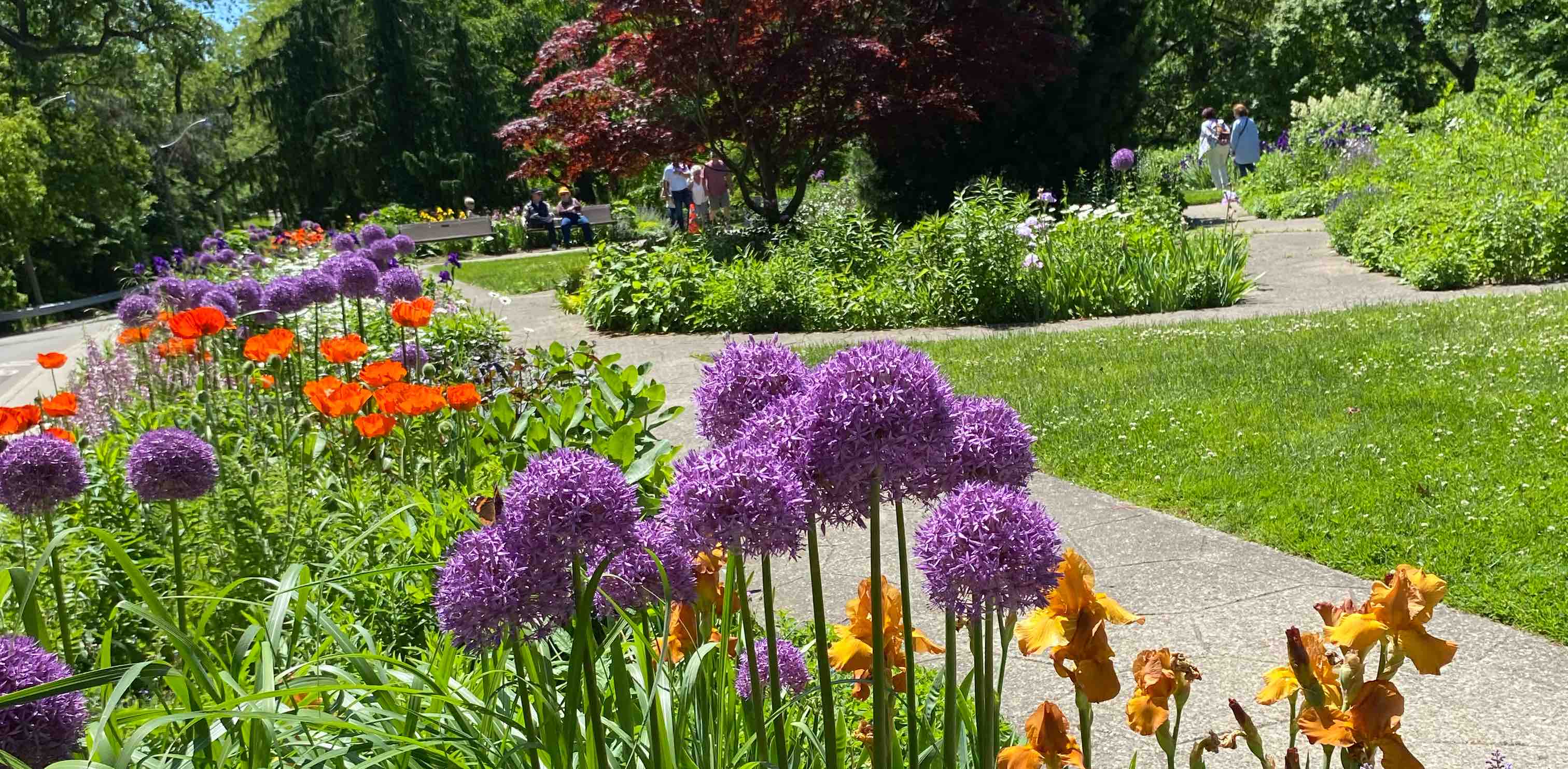 FITNESS WANNABE'S banner