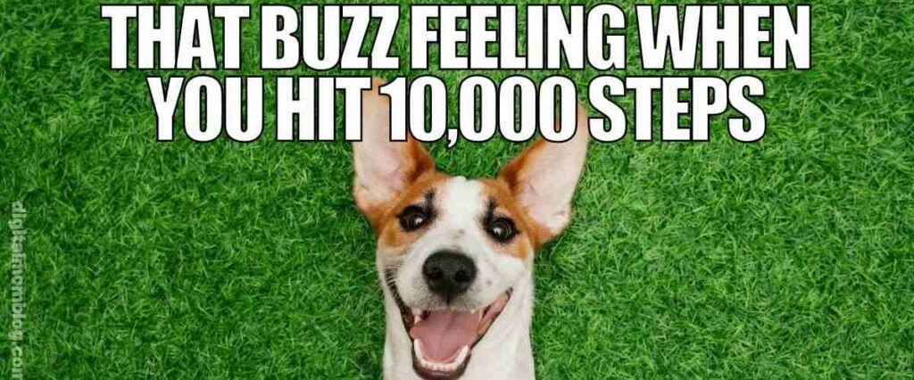 Versuni DP Europe banner