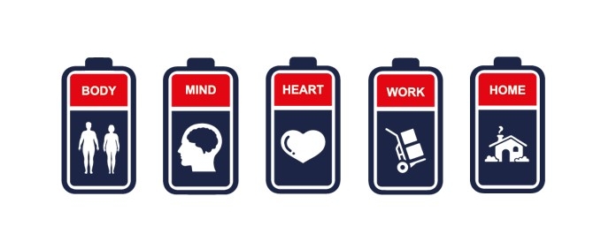 CEVA FIT - BENELUX banner