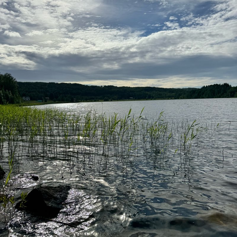 Västernorrland logo