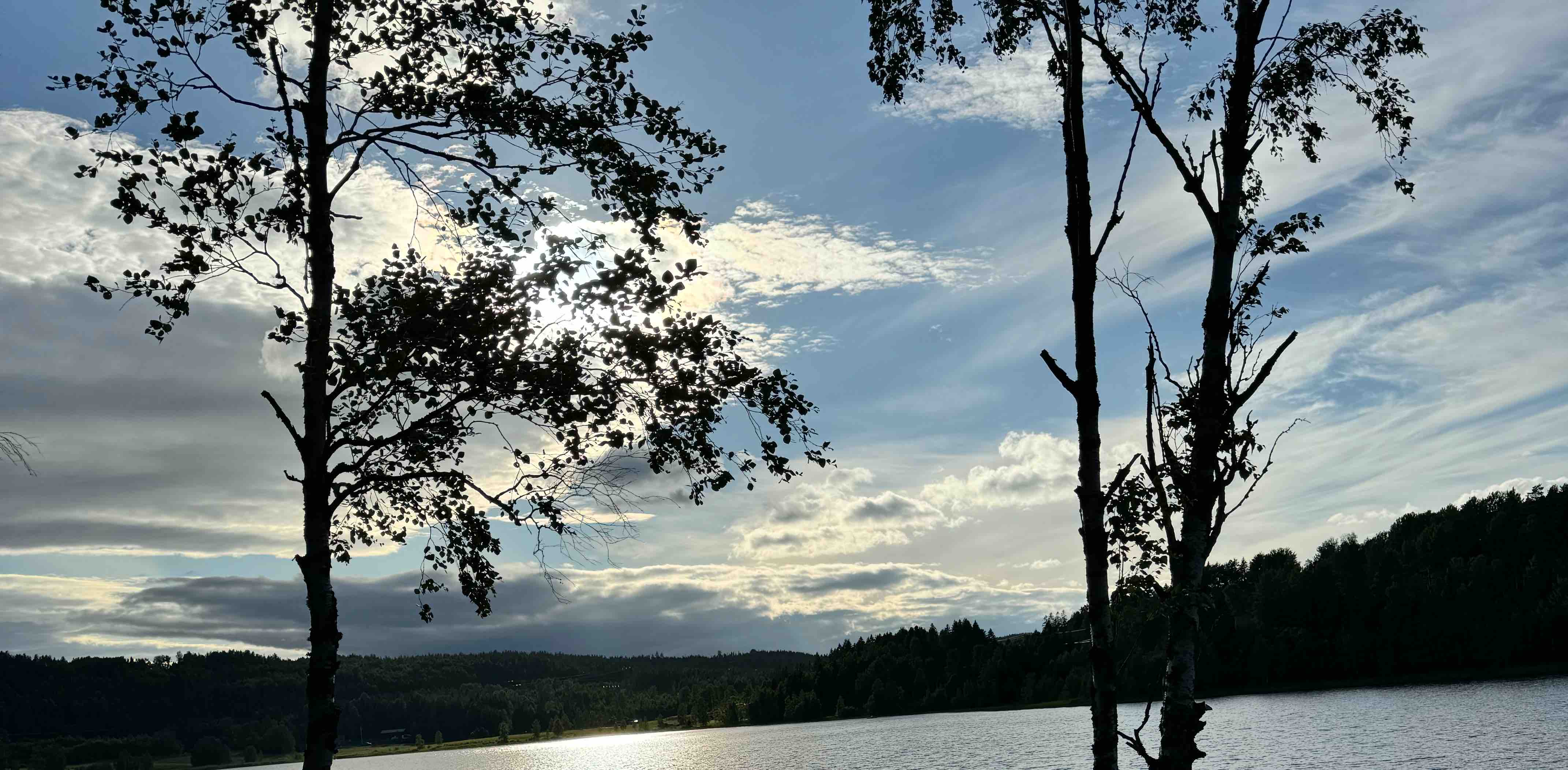 Västernorrland banner