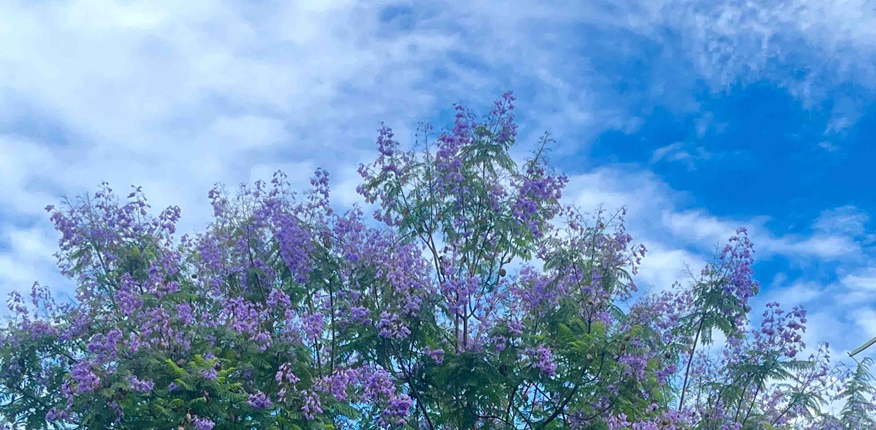 走路小分队 banner