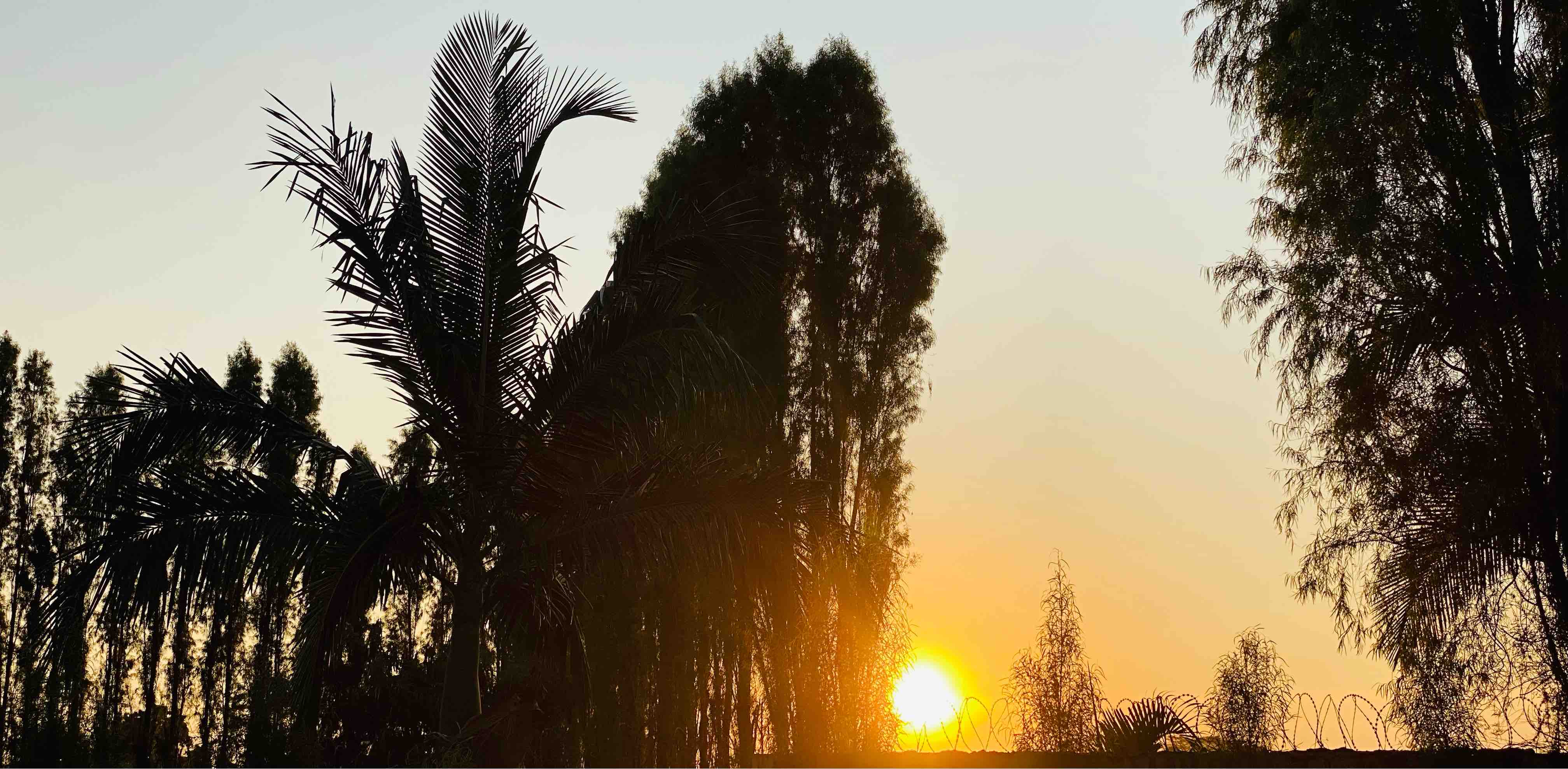 inner circle ⭕️ banner