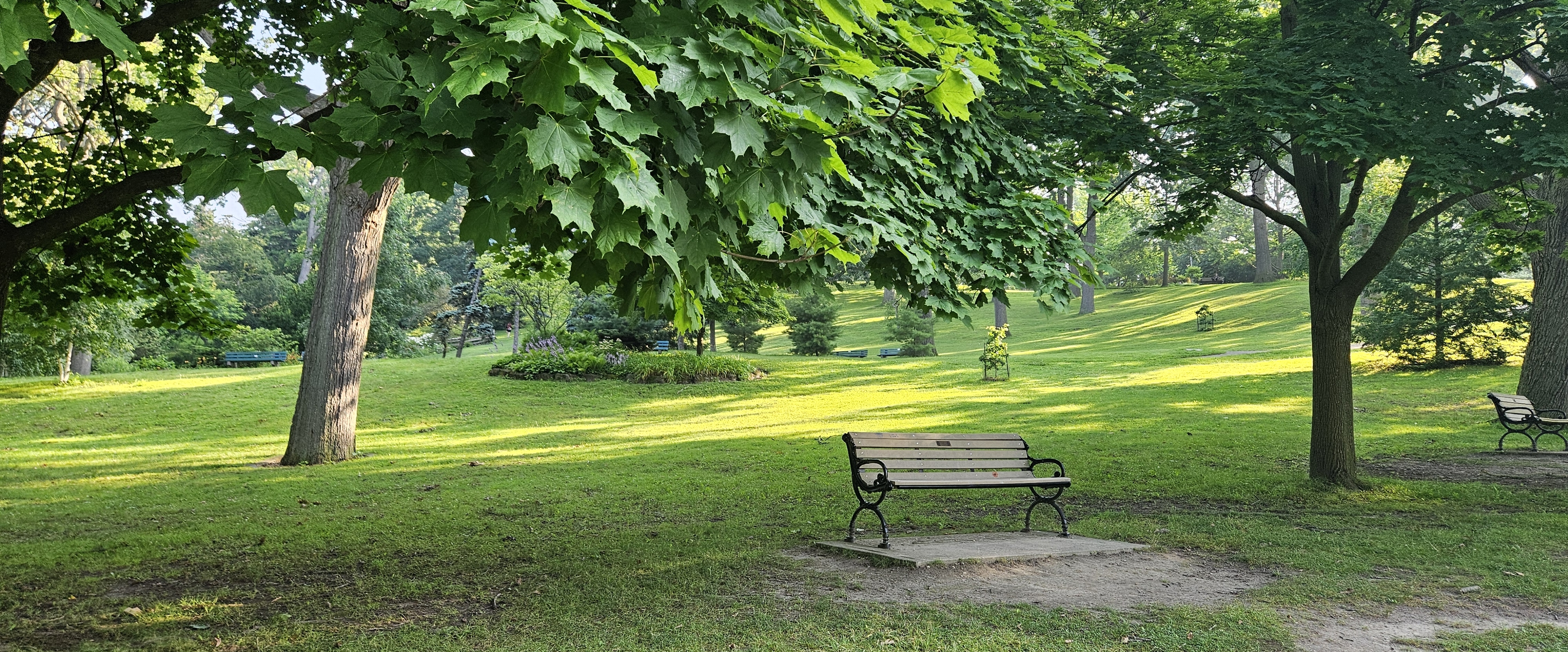 🐞SHORT WALKS🐞 banner