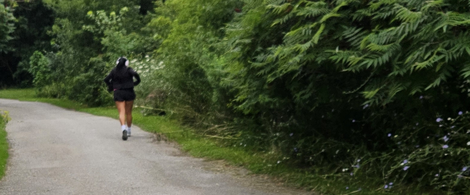 🌎TRAILS OF THE WORLD🌎 banner