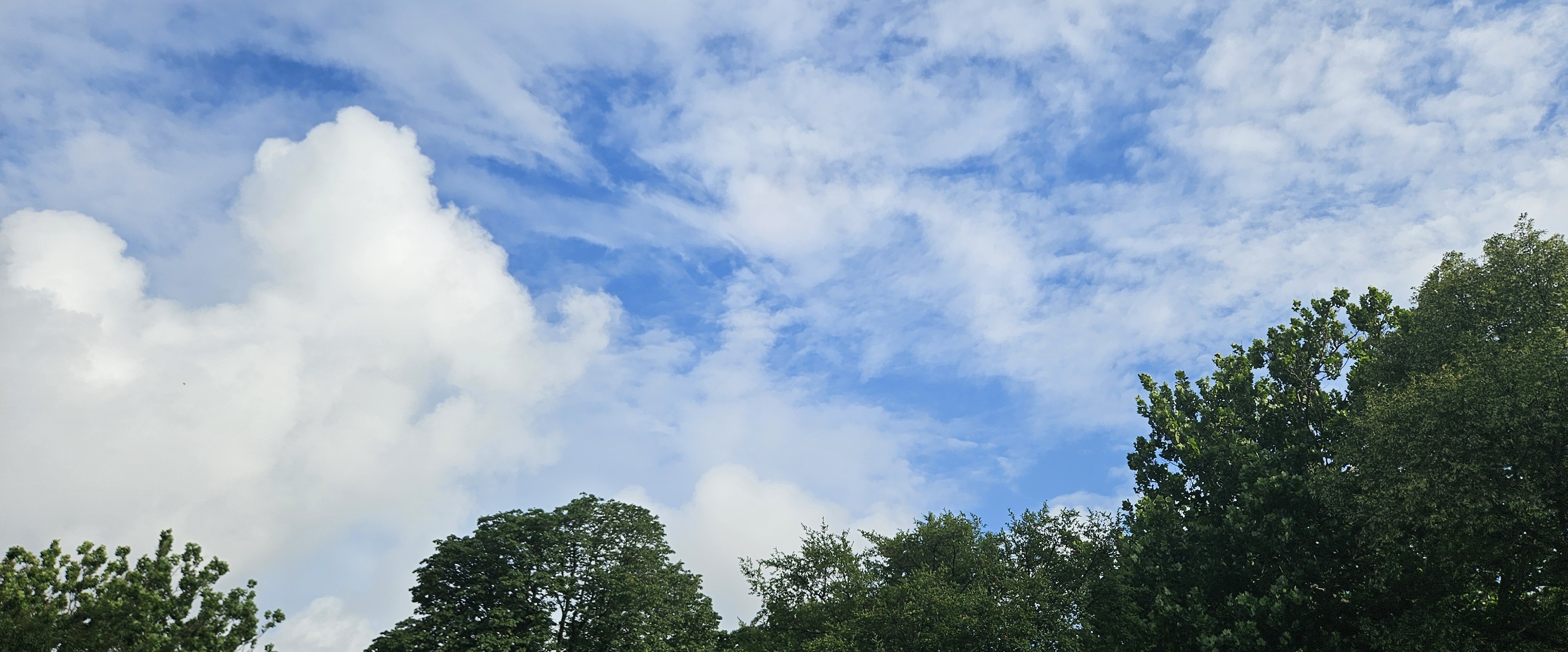 👣KEEP  GOING  SLOWLY👣 banner