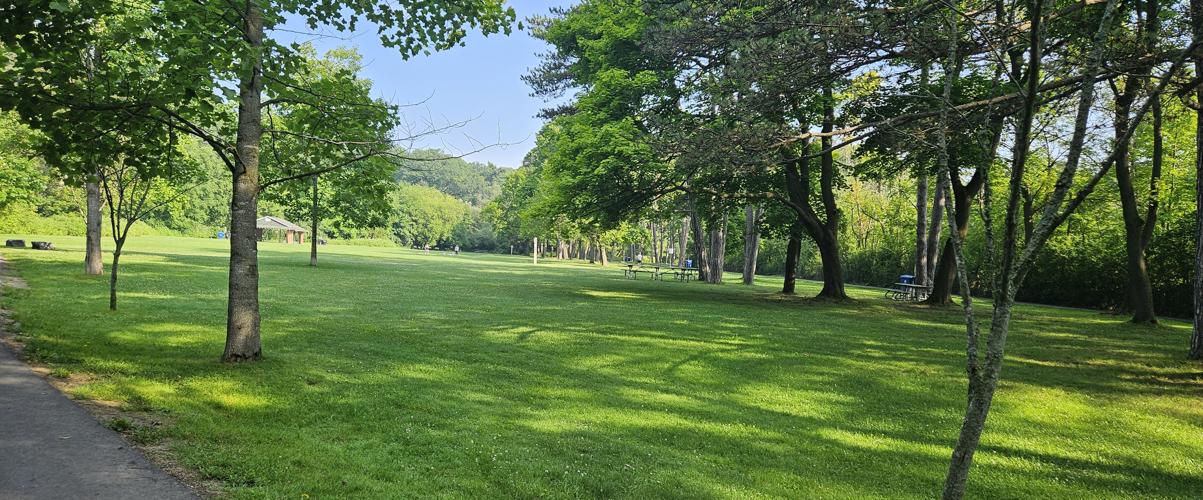 📸 Challenge yourself 📸 banner