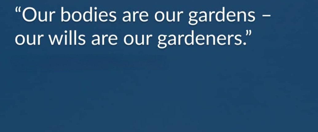 🌸HEALTHY LIVING🌸 banner