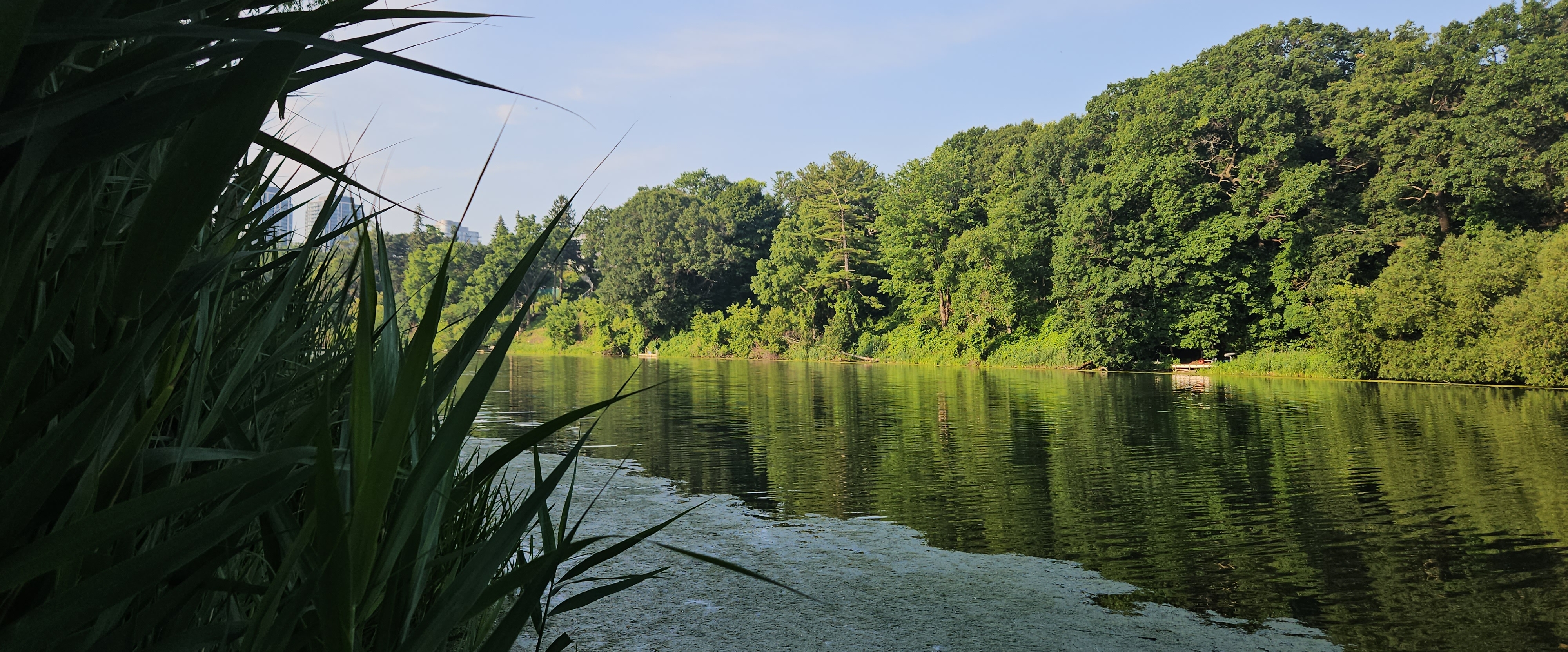 💜ONE STEP AT TIME💜 banner