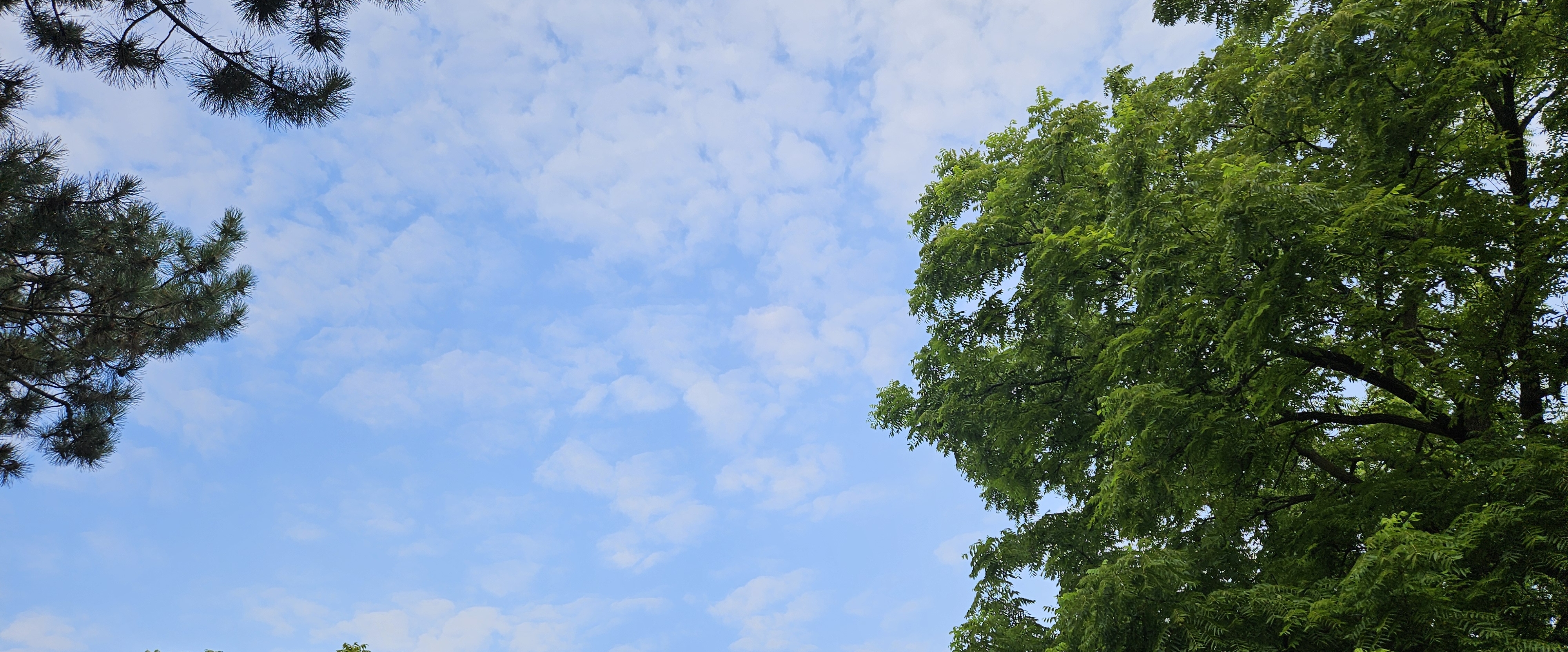 💖WEEKEND WALKS💖 banner